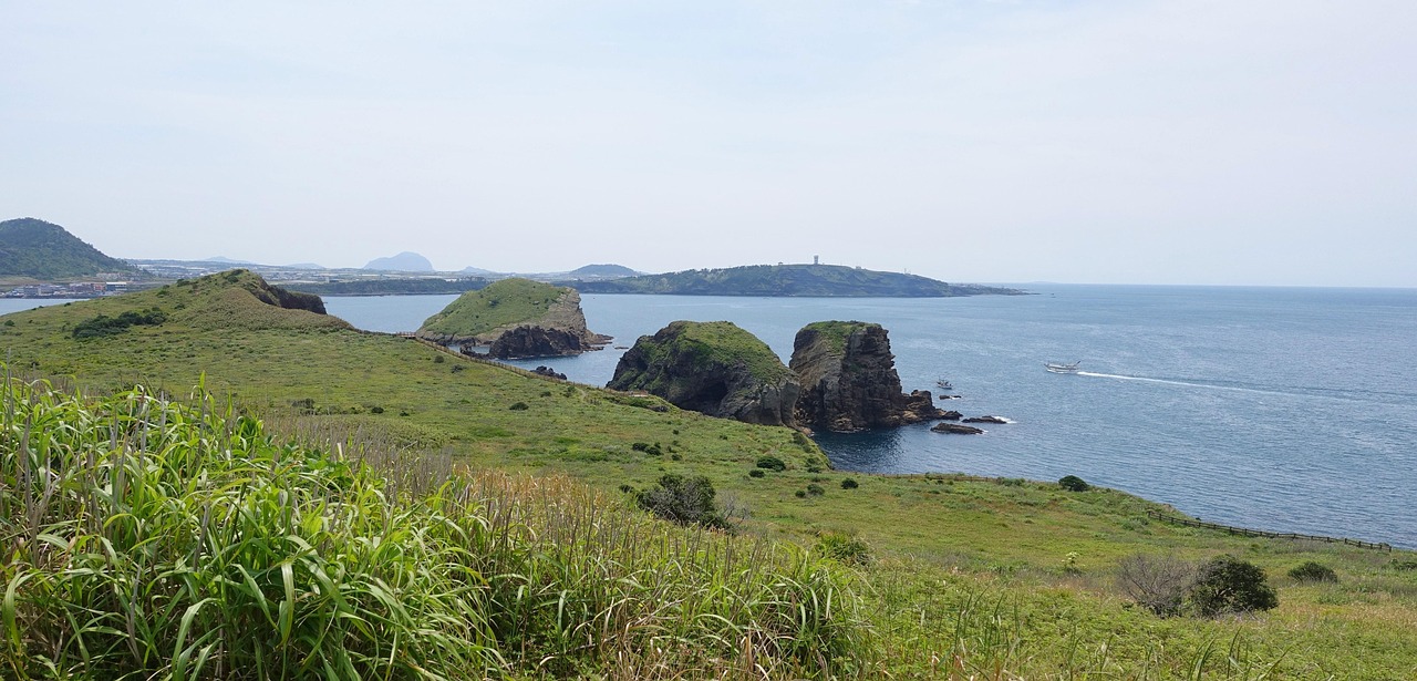 제주 개인회생